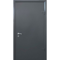 Techno-door Страж 01
